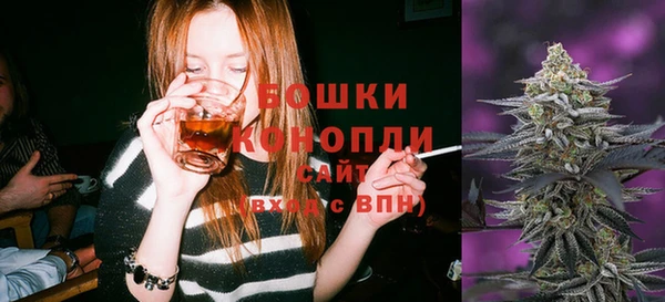 мдпв Лагань