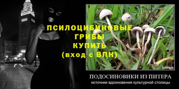 мдпв Лагань